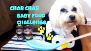 Cute Dog Baby Food Challenge