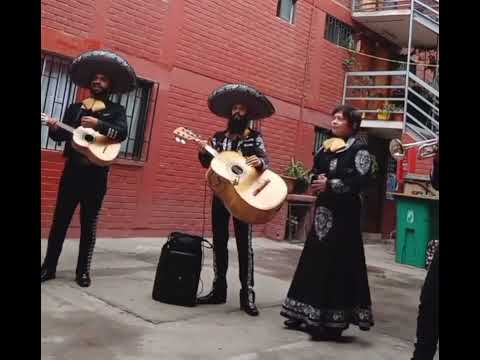 Serenatas de mariachis a domicilio en Santiago y toda la región metropolitana 🎶 Contáctanos al Dm