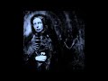 Cephalic Carnage - the Will or the Way (2005) Anomalies