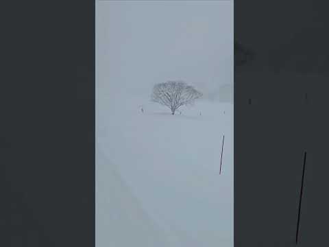 하쿠바밸리 이와다케,츠가이케 코르티나스키장