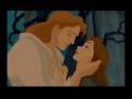 Beauty And The Beast Firework DMV