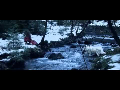 Survivre avec les loups