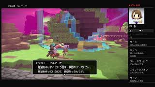 姉妹でDQB2に再挑戦！＃9