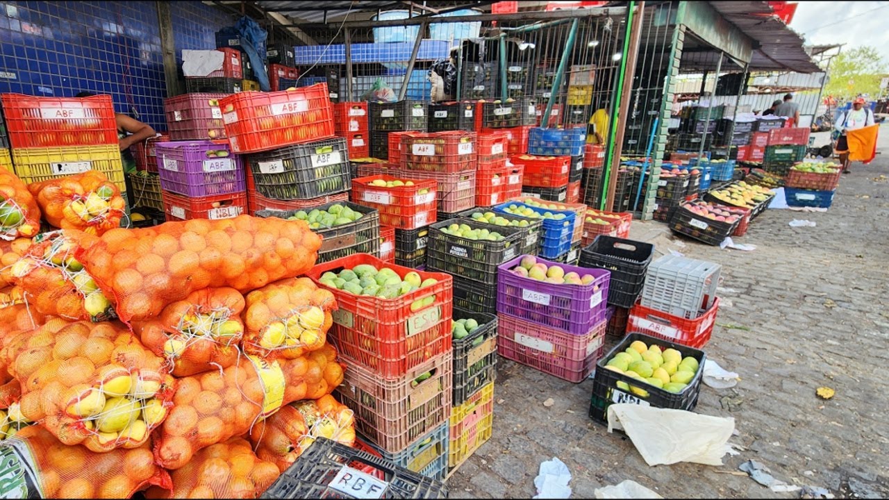 MANGA QUASE DE GRAÇA NA CEACA EM CARUARU-PE. OLHA ISTO BRASIL!