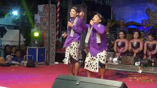 Download lagu Status wa 'percil lucu 😂#pencarian cwek. mp3