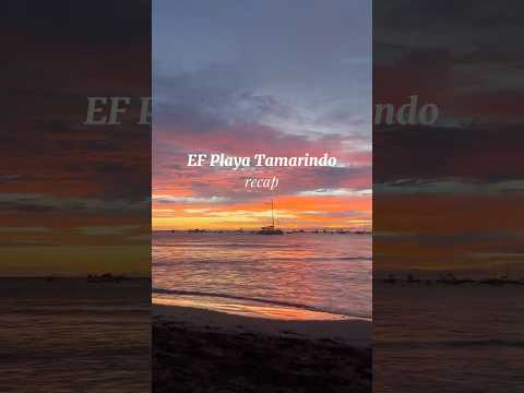 EF Gap Year - Spanish in Motion Video Gallery'