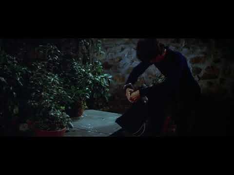 Bruce Lee Catches COBRA