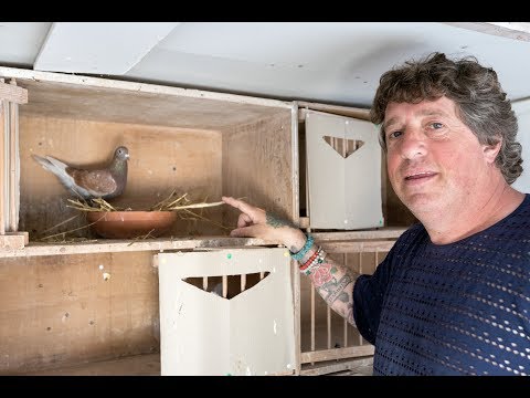 Nationale winnaars ZLU 2017 - St. Vincent: Marlon Kok, Ransdorp (with English subtitles)