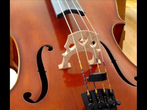 Domenico Zipoli Adagio per oboe, cello, organo e orchestra