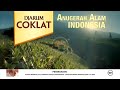 IKLAN DJARUM COKLAT 60s 2022
