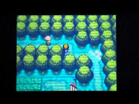 Pokemon Heart Gold and Soul Silver Gotta Catch em All Walkthrough - Part 72