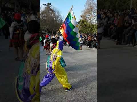 Fraternidad Elegantes (Tarkeada)