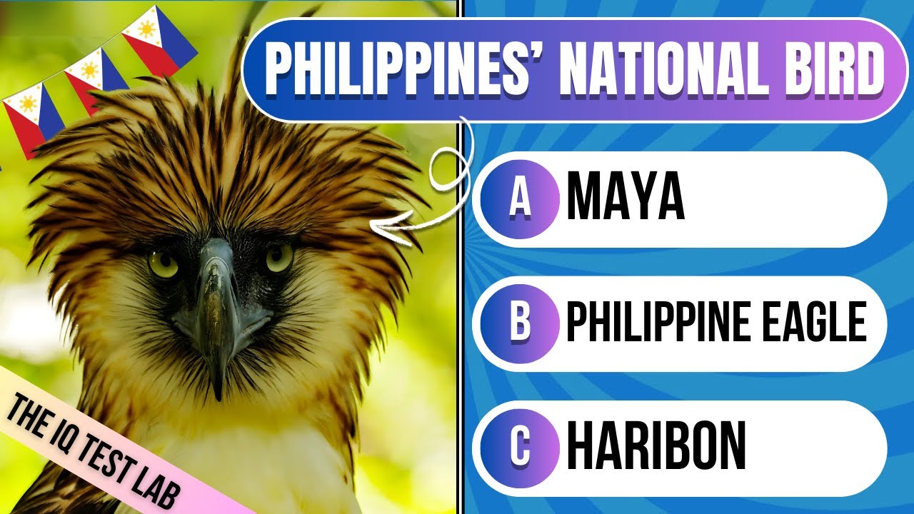 50 Philippines Trivia Questions | 🇵🇭 General Knowledge Quiz | The IQ Test Lab