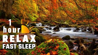 Riacho e música suave.