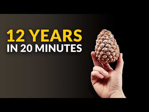 I Filmed Plants For 12 Years