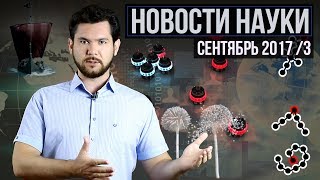 Новости науки. Сентябрь №3