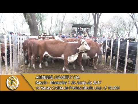 07-06-17 Venta de Vientres - Arribere, Ugarte y Cia - Rauch.
