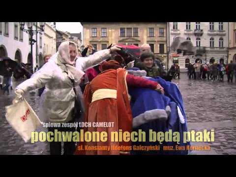 Pochwalone niech będą ptaki [impresja filmowa]