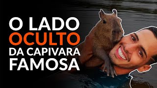 O lado oculto da Capivara do @Taylor_Jevaux.