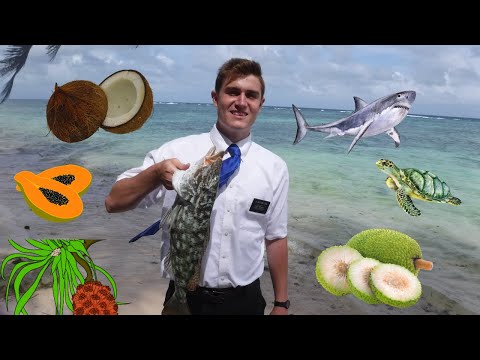 Marshallese Food (Mōñā in Majol)