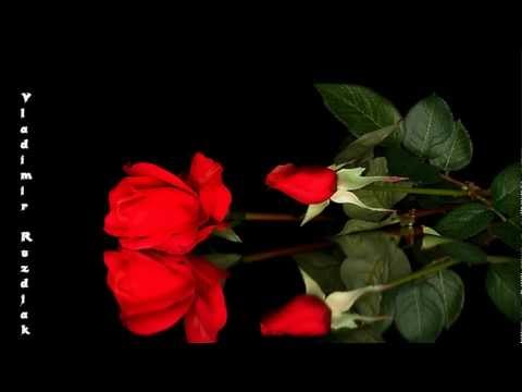 Vladimir Ruždjak - Popevke Sam Slagal || Dragutin Milivoj Domjanić - Vlaho Paljetak