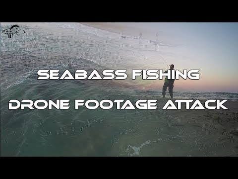 Seabass Fishing   Drone Footage Attack