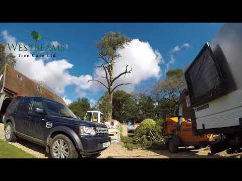 Westbeams Tree Care Ltd video.