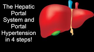 HEPATIC PORTAL SYSTEM!  HEPATIC PORTAL CIRCULATION EXPLAINED!