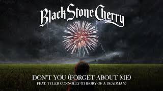 Black Stone Cherry -  Don't You (Forget About Me) (feat. Tyler Connolly of Theory Of A Deadman)