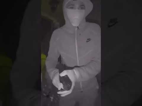 Doorbell camera captures suspects in Canada home Invasion in Vaughan