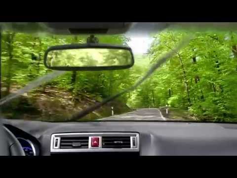 Apply 303 Aerospace Protectant to windshield wipers!