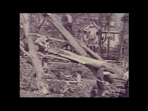 When Disaster Struck - '38 Hurricane PT3
