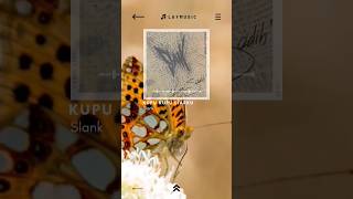 Download lagu Kupu Kupu Liarku - Slank #nostalgiamusic #laymusic #videolirik #liriklagu #terpopuler #terhits#slank mp3