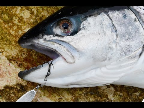 NY VIDEO: SÅDAN LAVER DU EN CLAW CONNECTOR