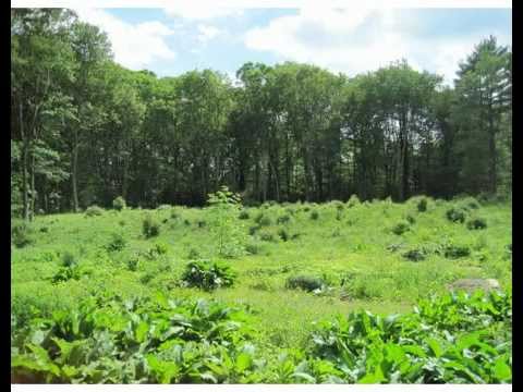 Property for sale in Sutton, MA  - John Miller Real Estate Team