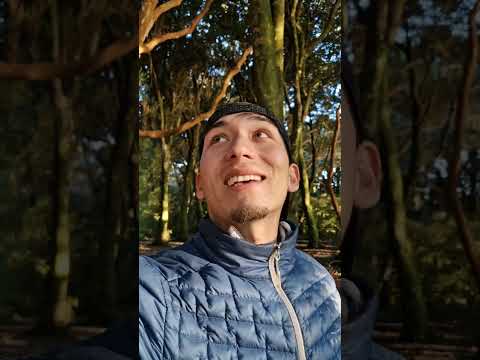 Un lugar impresionante!!😍🇨🇱🥹🍃 📍Isla Chaullin, Calbuco, Región de los Lagos 🇨🇱