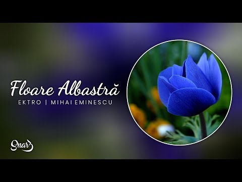 Ektro - Floare Albastră [versuri Mihai Eminescu]