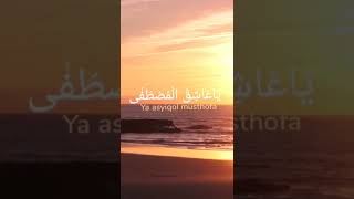 Download lagu Ya Asyiqol Musthofa #shorts mp3