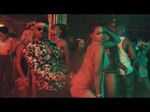 Rayvanny -  Makulusa ft Maphorisa x Dj Buckz (Official Video)