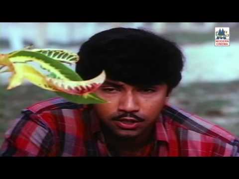 Chinna Chinna Roja Poove HD Song | Poovizhi Vasalile | K J Yeudas Hits  Sathyaraj Karthika