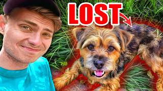 I lost my puppy...