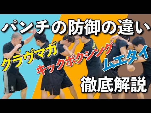 【パンチの防御】クラヴマガとキックとムエタイを比べてみた