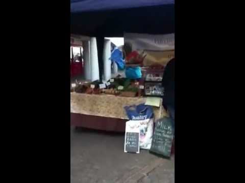 Day in Carmarthen with Cassimo+Henry(the dolphin)