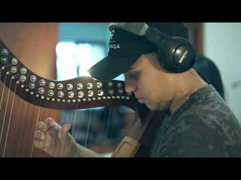 Instrumental Llanero #joropo #musicallanera