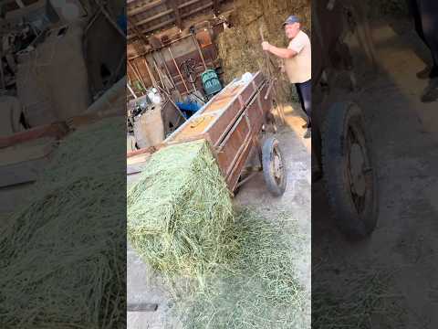 А ВИ ЗНАЛИ ЯК РОБЛЯТЬ ТЮКИ🤯 #farming #тракторист #agriculture #агро #сено #сіно #аграрии #ферма