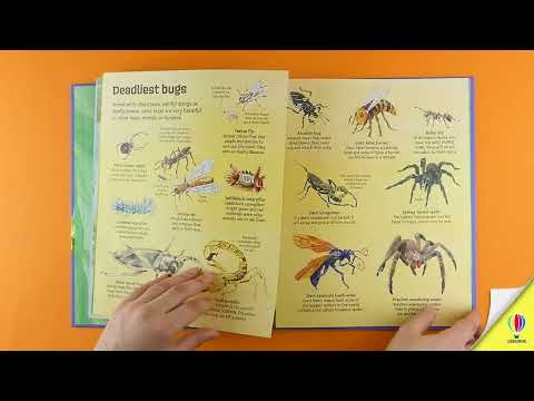 Книга Big Book of Big Bugs video 1