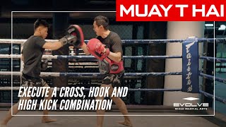 Cross Hook High Kick Combination