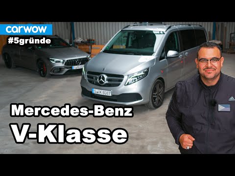 Der bessere Bulli? 5 Gründe für die Mercedes-Benz V-Klasse (2021) Meinung / Urteil / Test