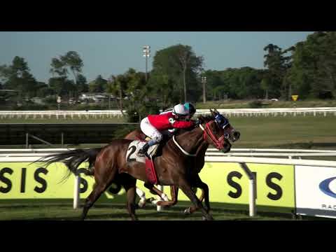 211218 c08 GAITERA DO SUL (BRZ)