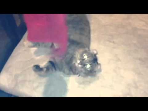 Adina Playing with Towels